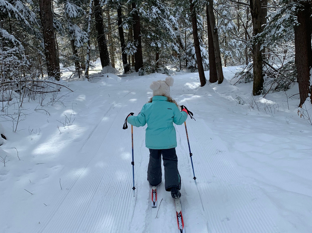 Georgian Nordic Outdoor Activity Centre景点图片
