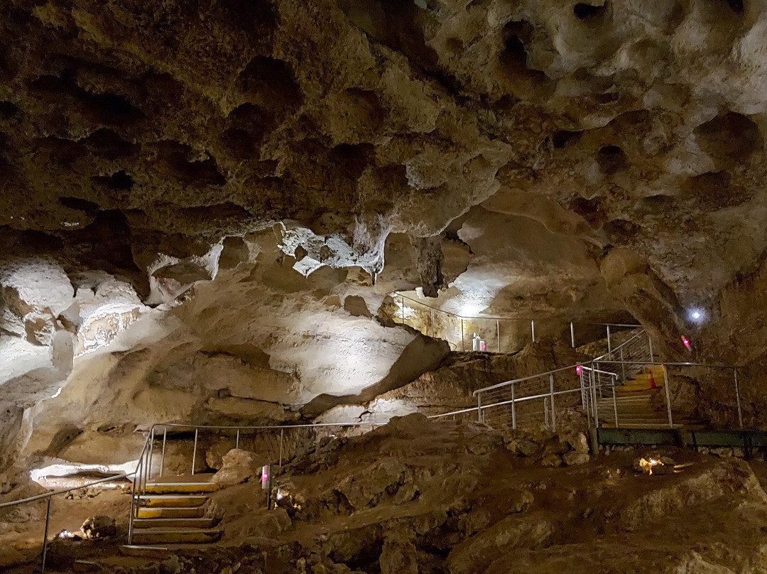 Stick Tomato Cave-Naracoorte必去景点