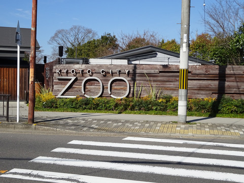 京都市动物园-京都市必去景点