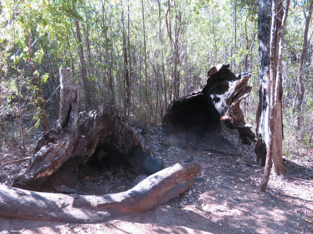Porongurup National Park-Mount Barker必去景点