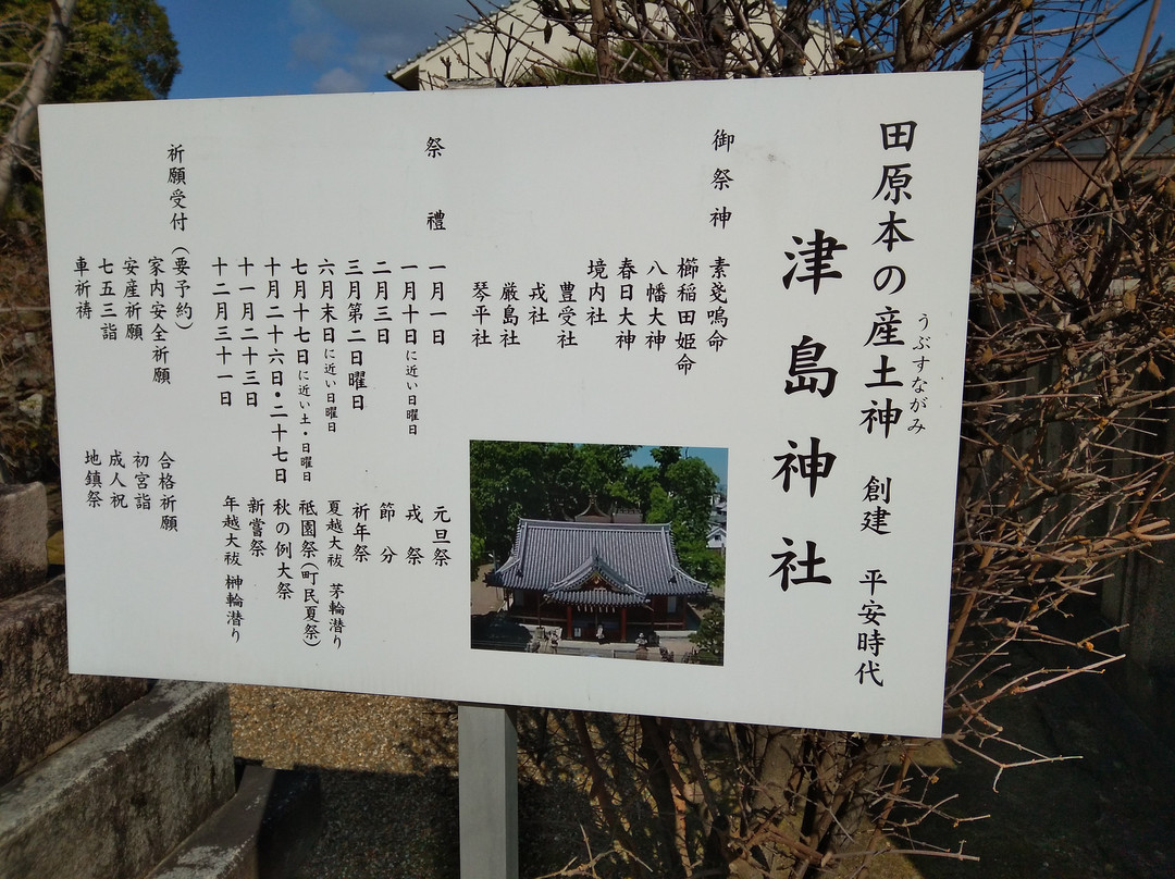 Tsushima Shrine景点图片