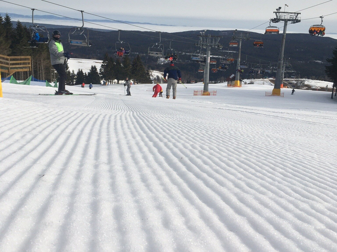 Zieleniec SKI Arena景点图片
