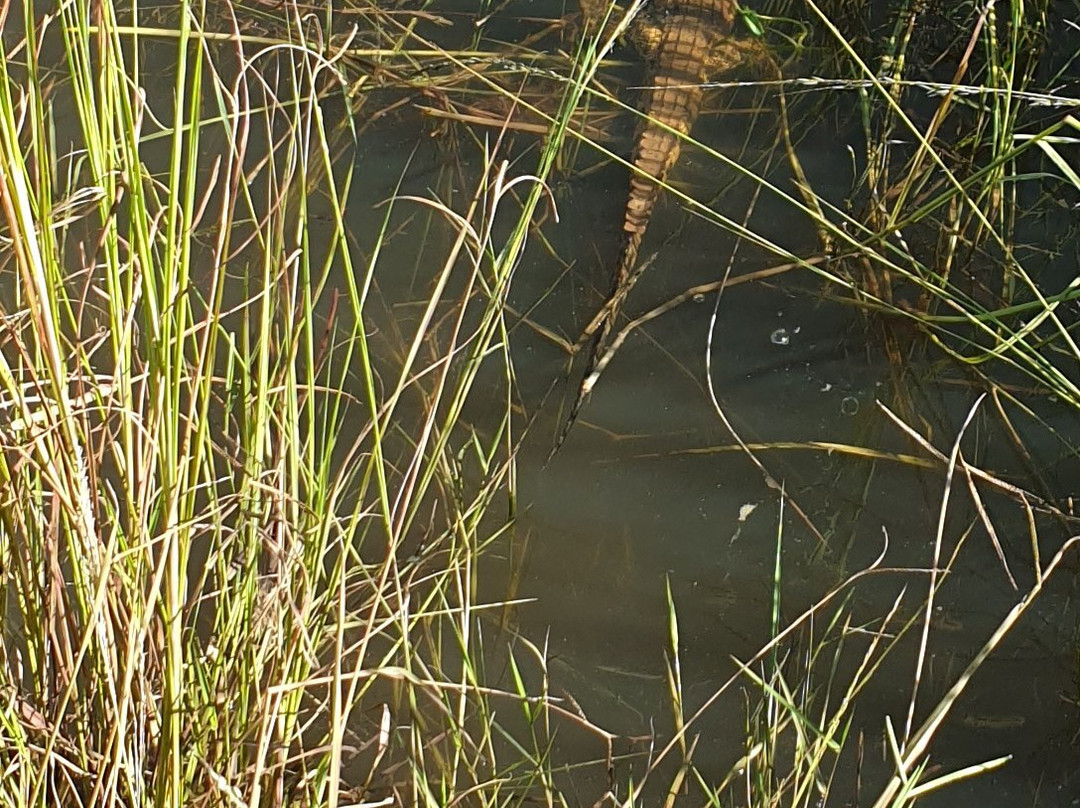 Kafue National Park-Kafue National Park必去景点