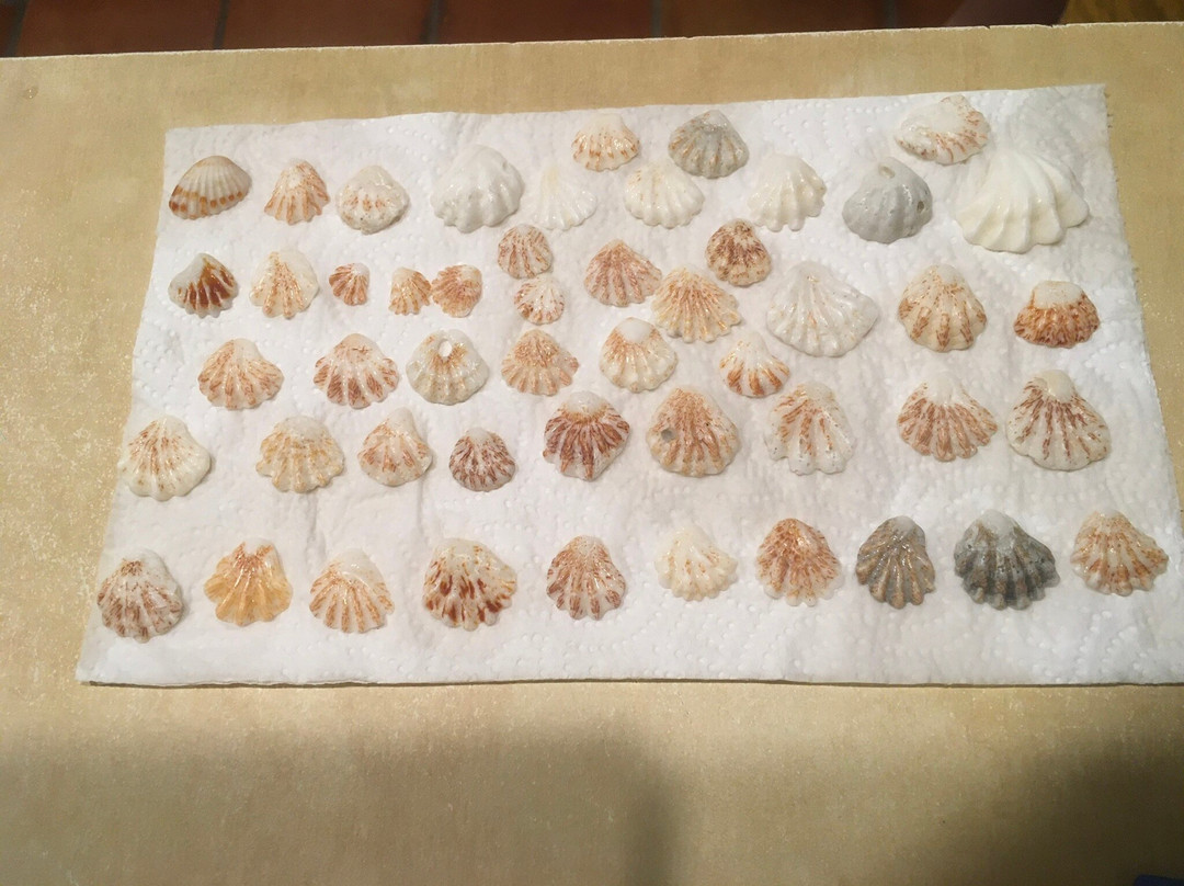 大海之歌酒店主图