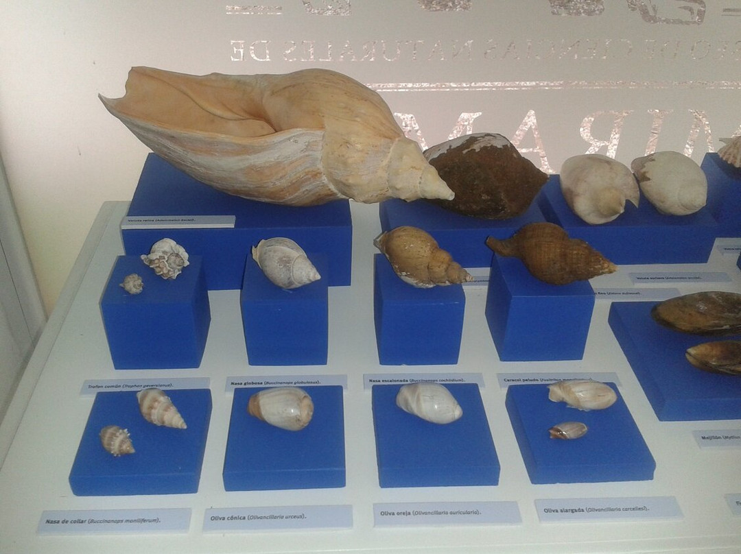 Museo de Ciencias Naturales de Miramar景点图片
