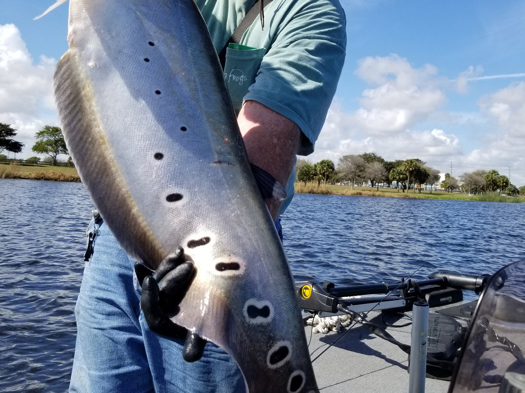 Lake Osborne-莱克沃思必去景点