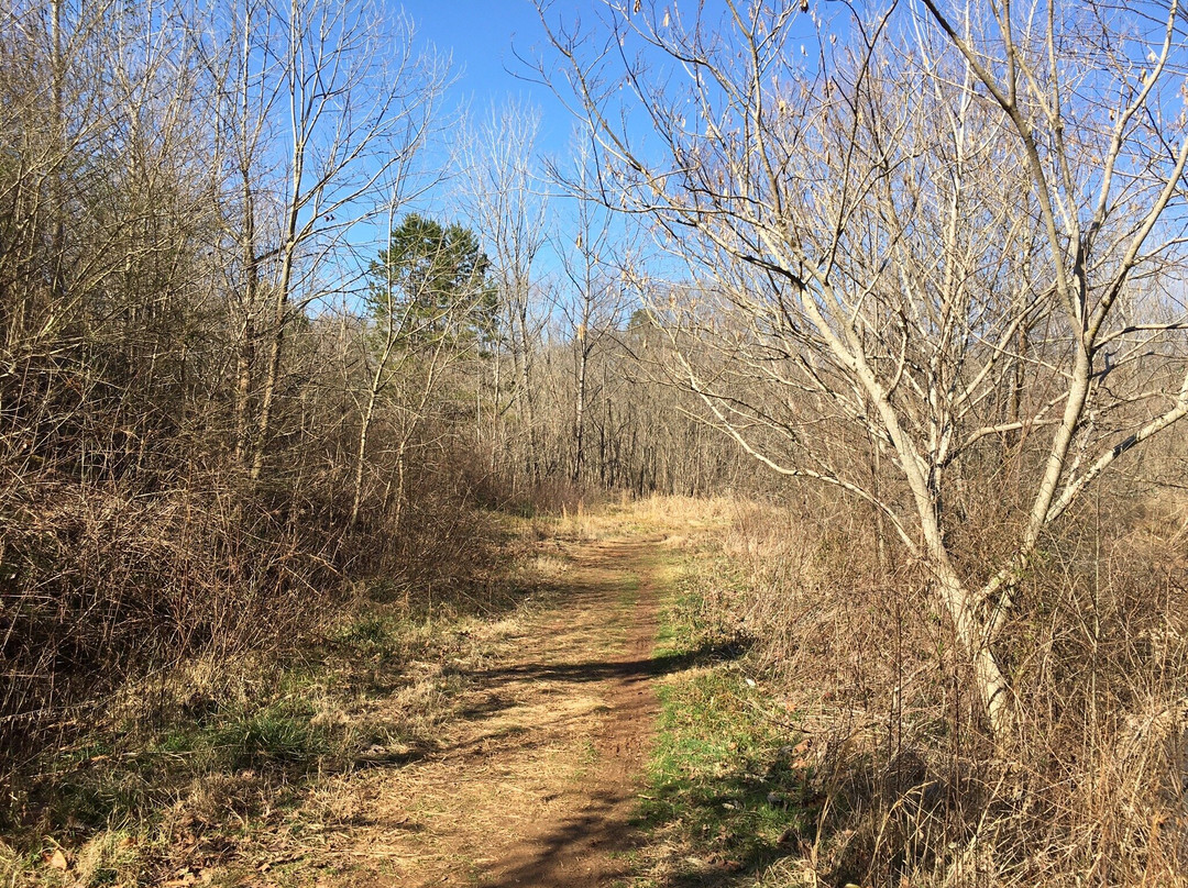 Braselton Mulberry RiverWalk-布拉塞尔顿必去景点