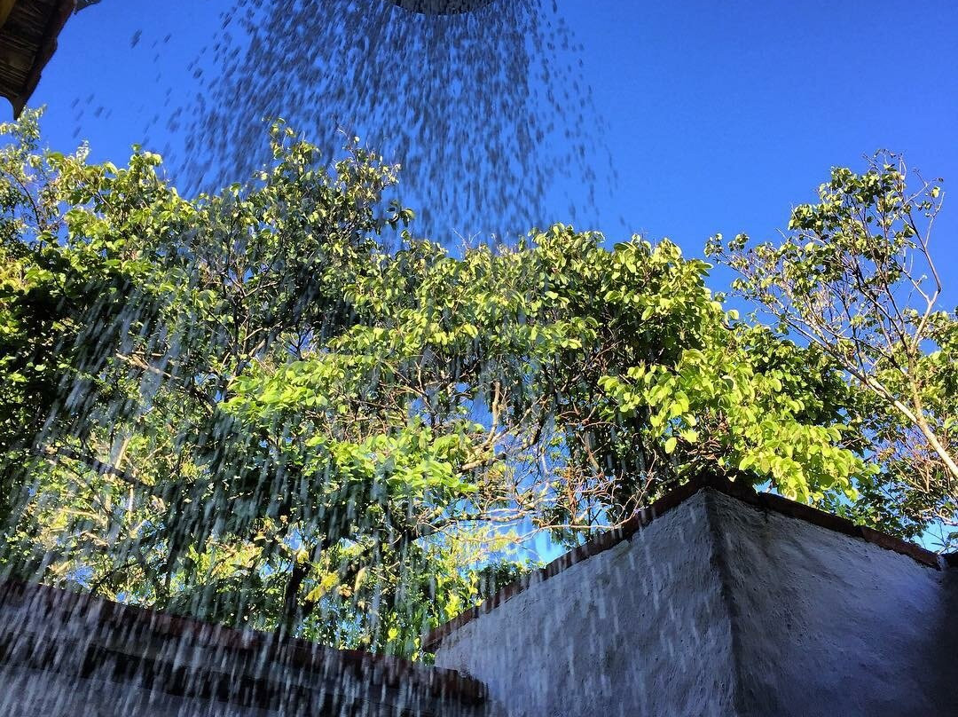 Casa de Huespedes El Cogollo B&B主图