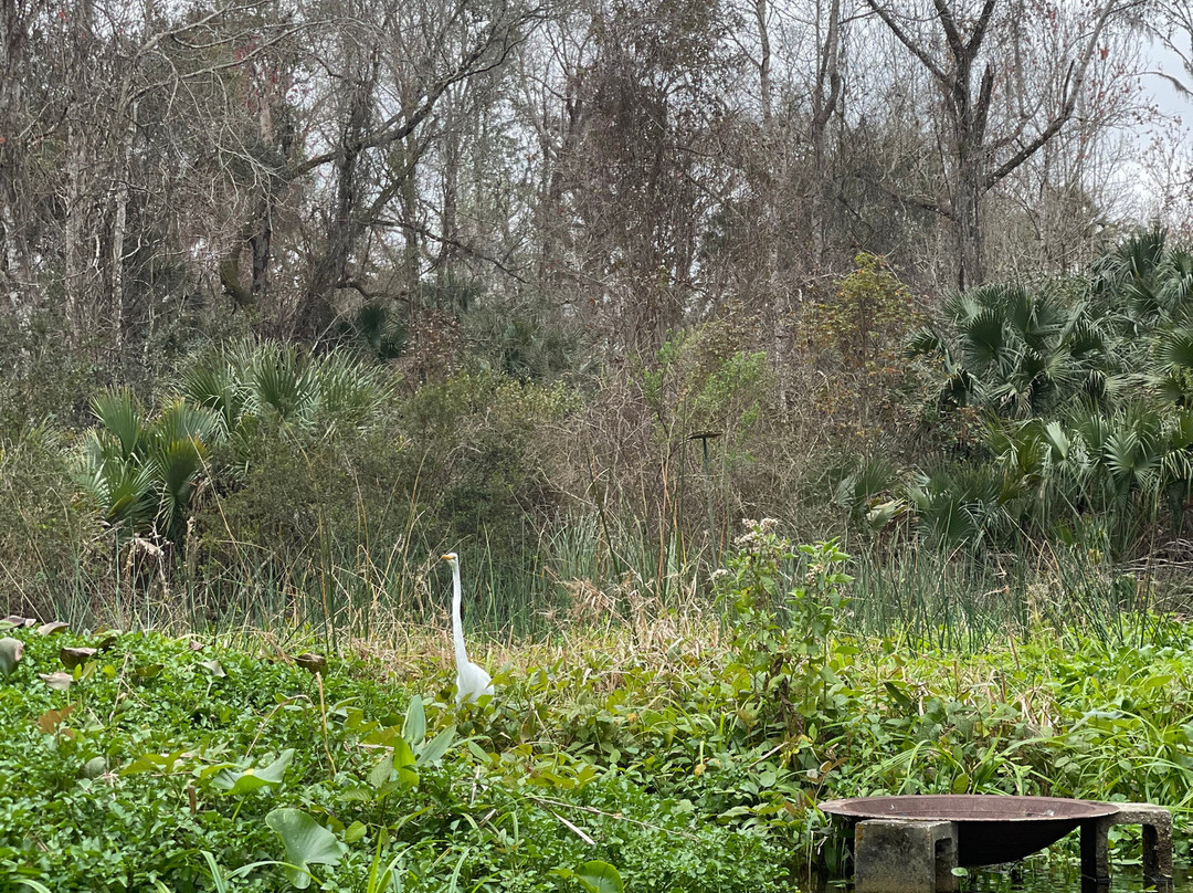 Get Up And Go Kayaking - Rock Springs-Apopka必去景点