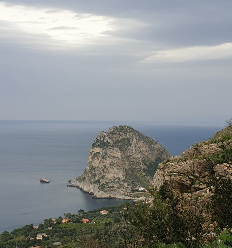 Parco Monte Catalfano景点图片