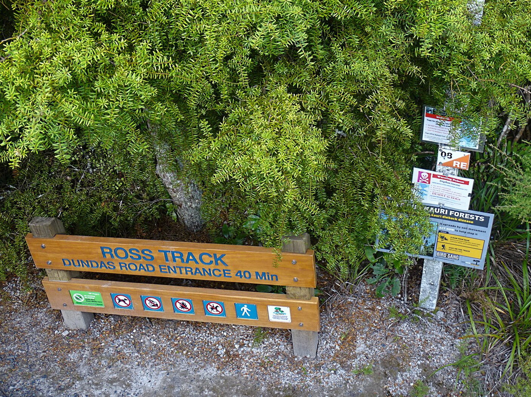 Mount Parihaka War Memorial景点图片