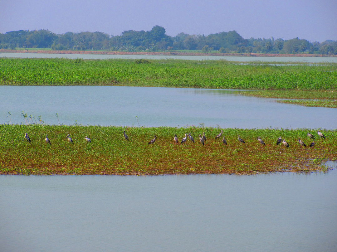 Veeranam Lake景点图片