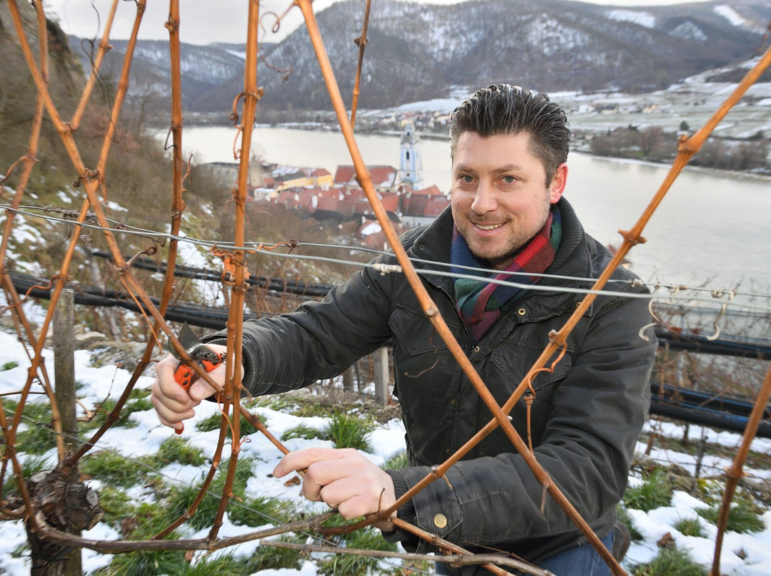 Weingut Gritsch Mauritiushof-施皮茨必去景点