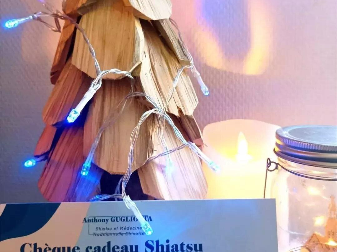 Anthony Gugliotta Shiatsu et Médecine Traditionnelle Chinoise Marseille-马赛必去景点