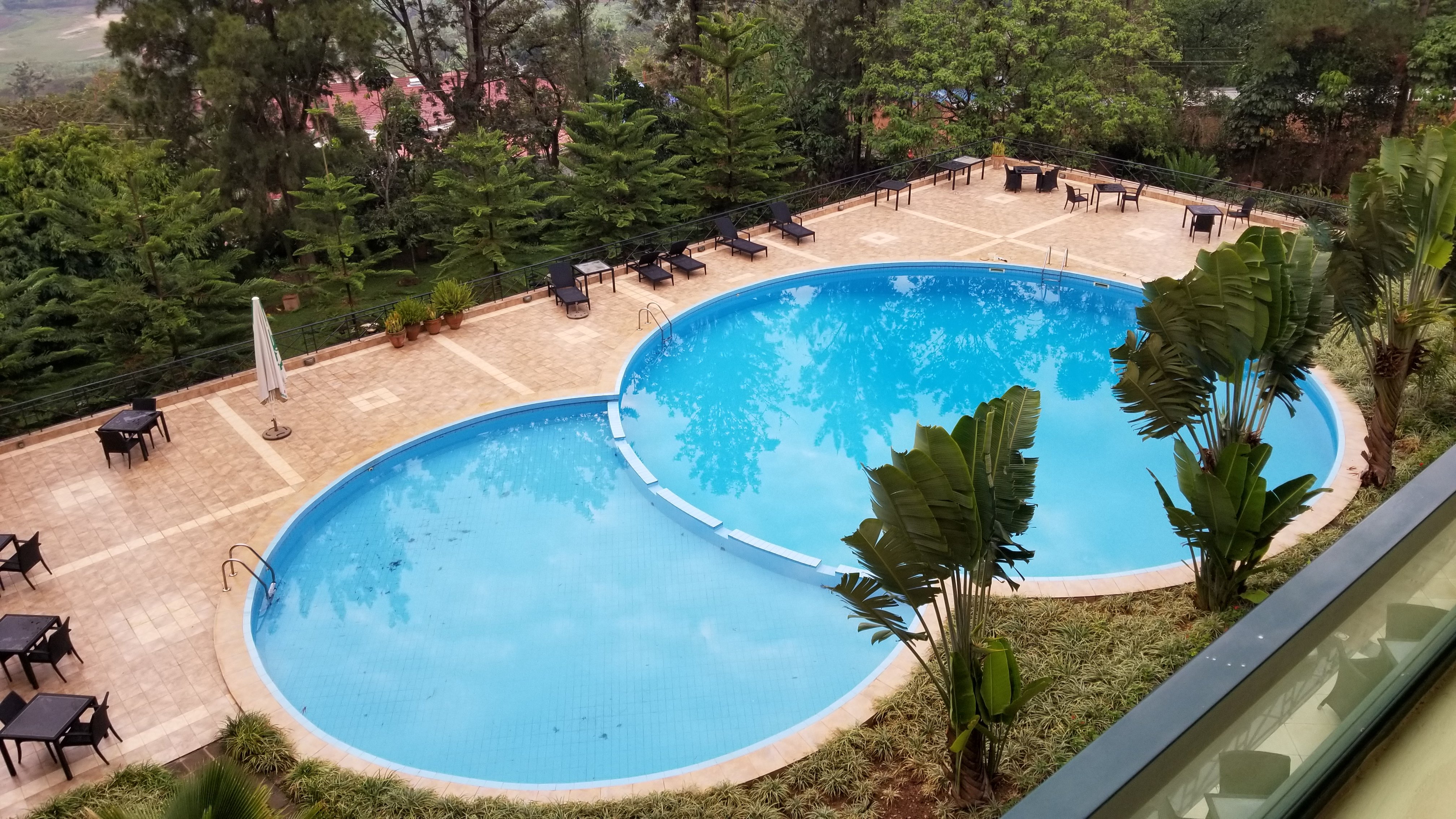 Gorillas City Centre Hotel-泳池