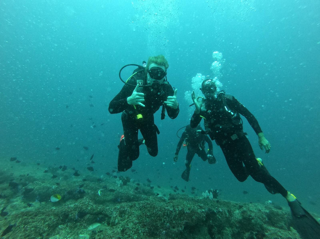 Diversity Scuba Tofo-托佛必去景点