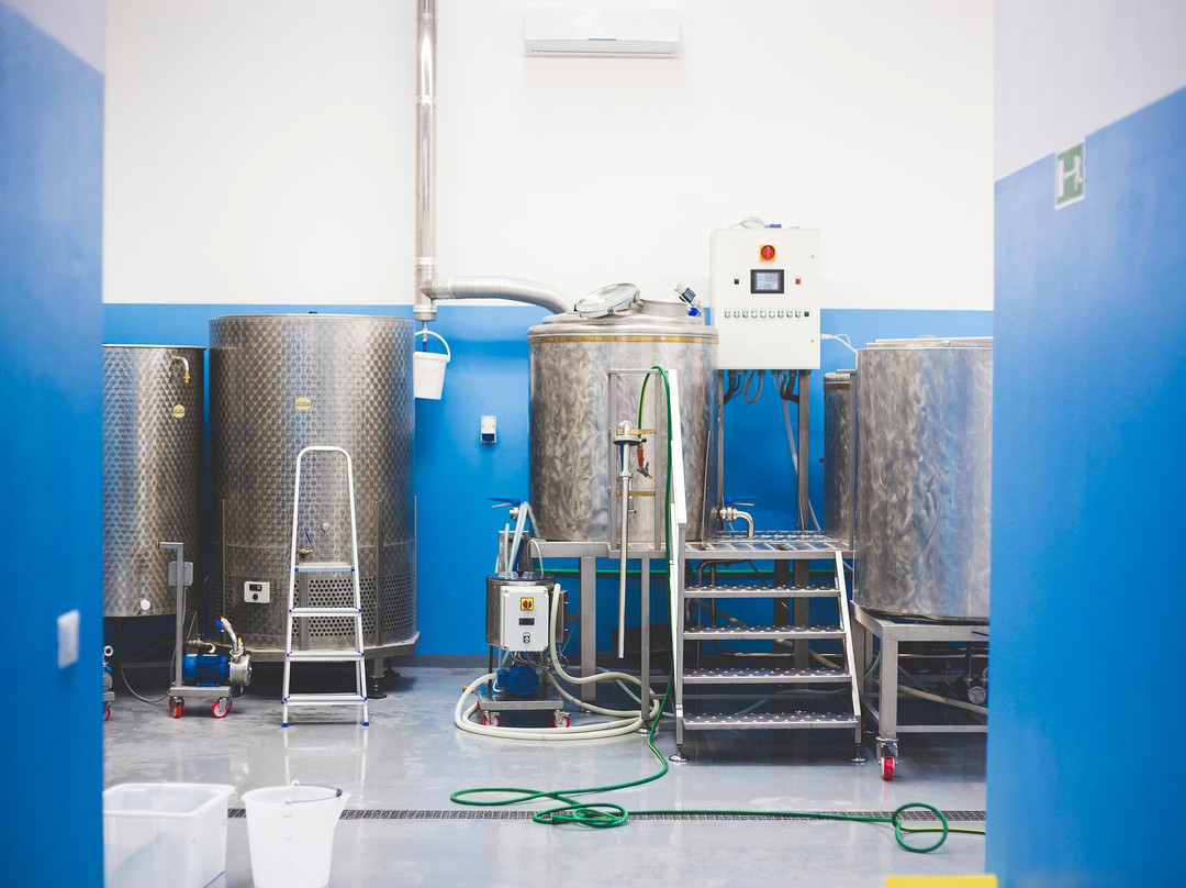 Bura Brew Istrian Craft Beer-波雷奇必去景点