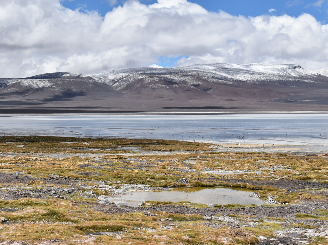 Laguna Brava Provincial Reserve-拉里奥哈必去景点