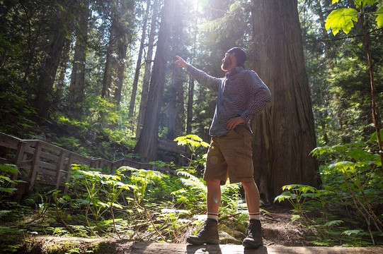 Revelstoke Local Tours