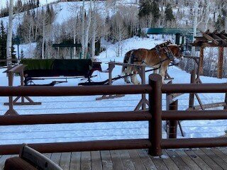 Stein Eriksen Lodge Deer Valley主图