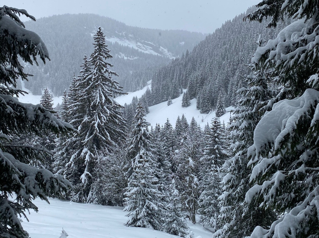 Megeve Raquettes-梅杰夫必去景点