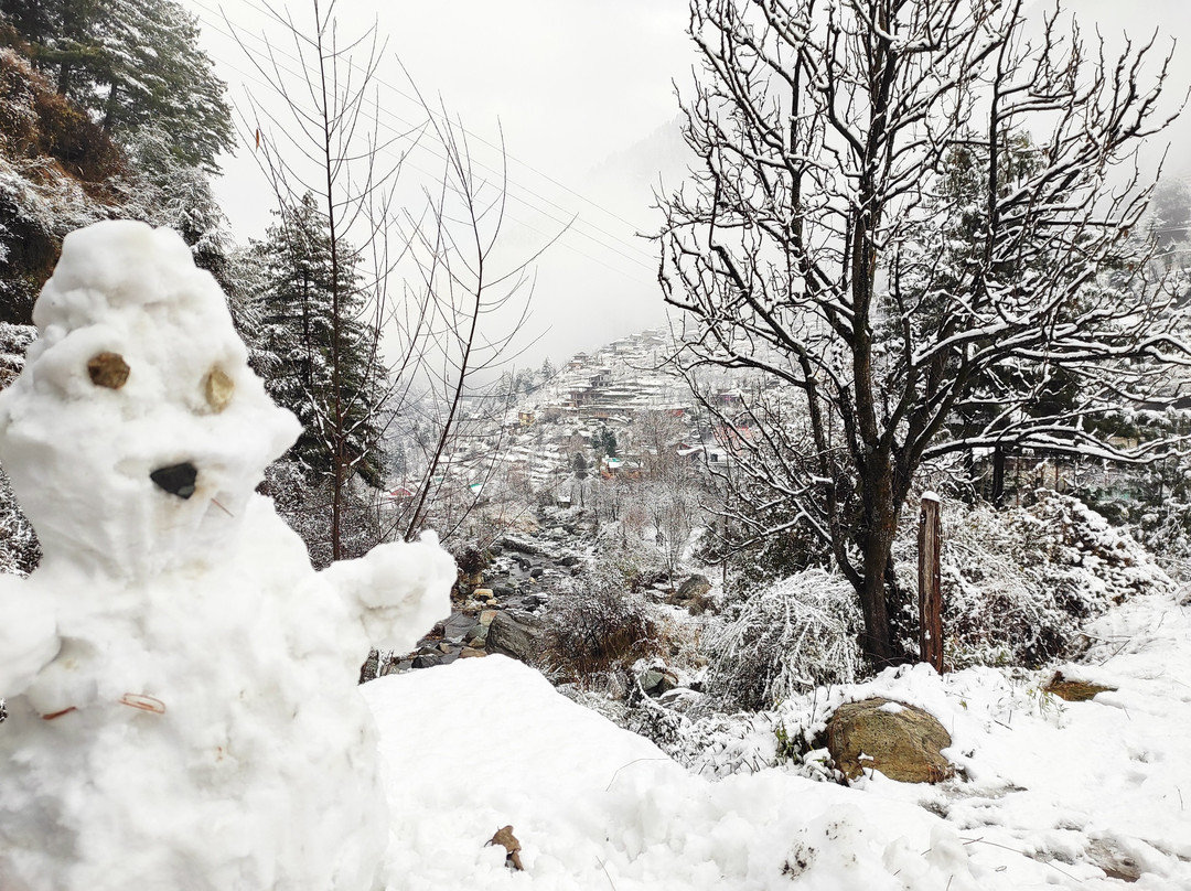 Jibhi Homestead主图