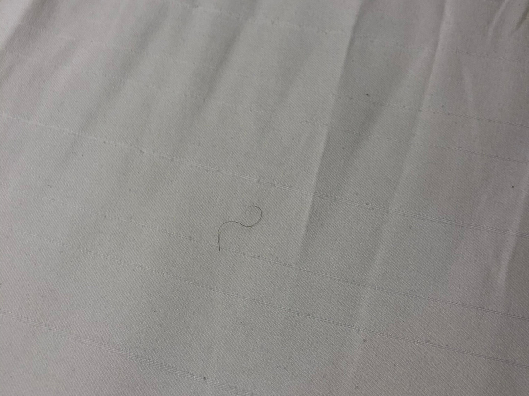 Microtel Inn & Suites by Wyndham Minot主图