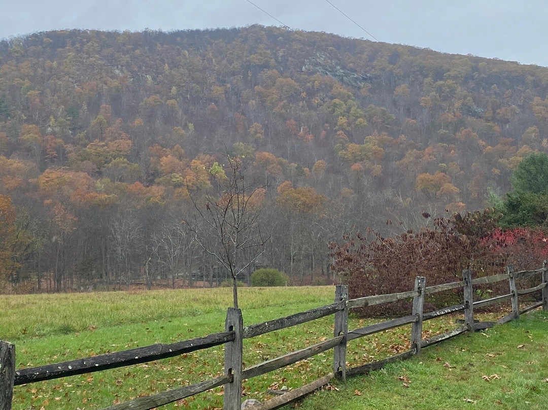 White Memorial Conservation Center-利奇菲尔德必去景点