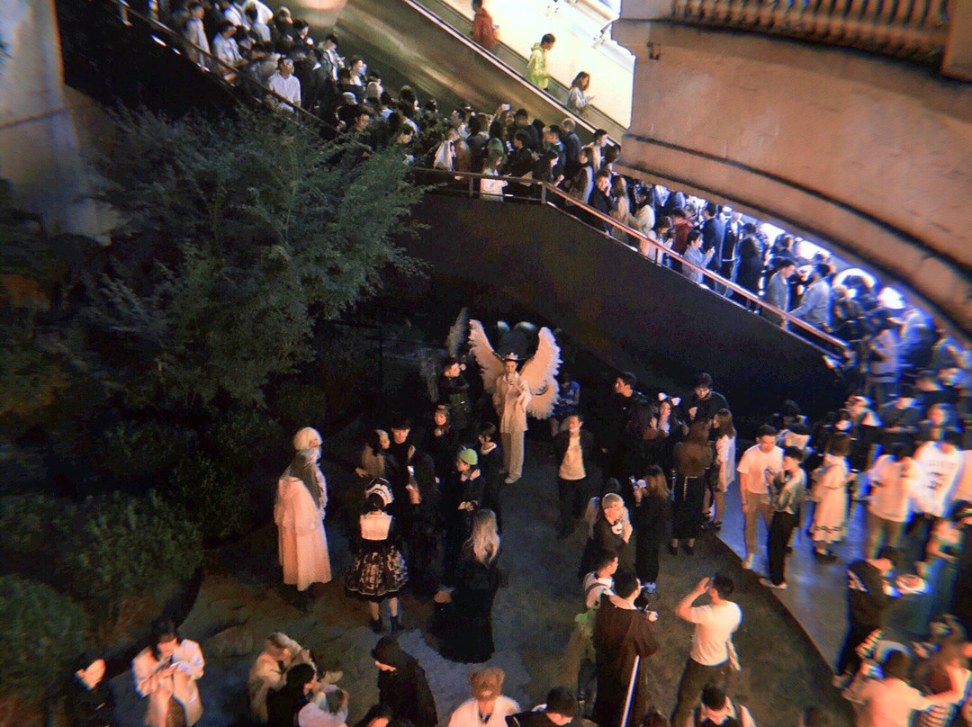 Found 158-上海市必去景点