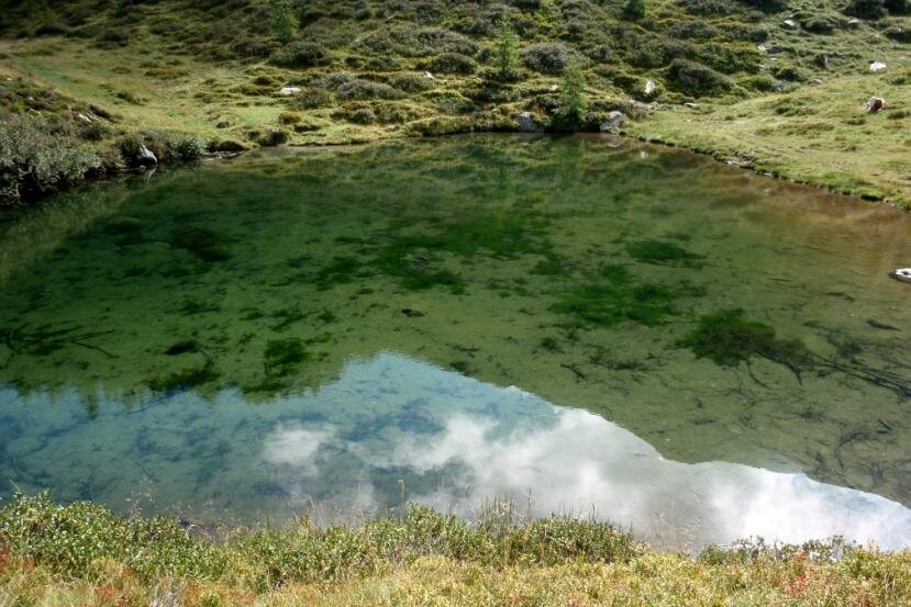 Passeggiata al lago Seebergsee-San Leonardo in Passiria必去景点