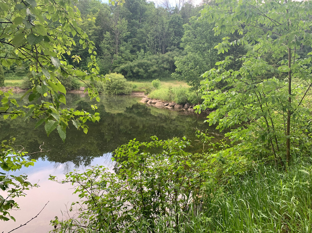 Blue Springs Golf Club景点图片