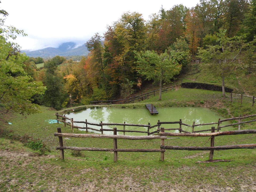 Oasi di Orie Terme景点图片