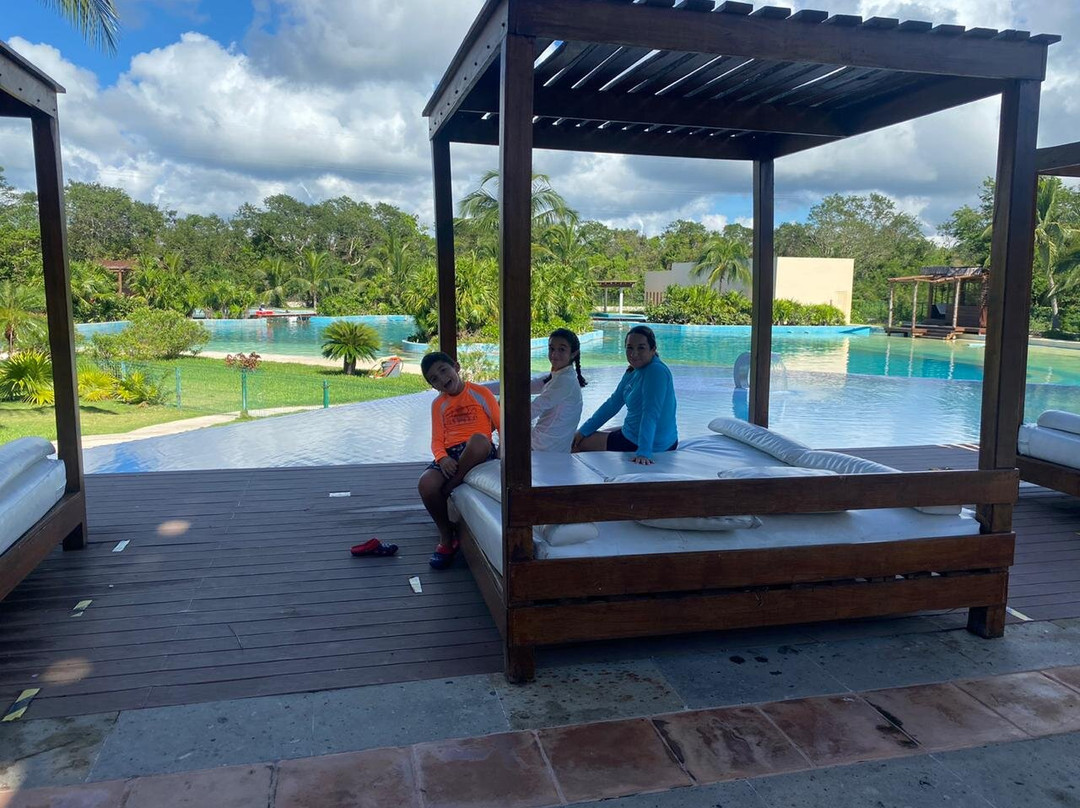 Dolphin Discovery Dreams Puerto Aventuras-阿范特拉斯港必去景点