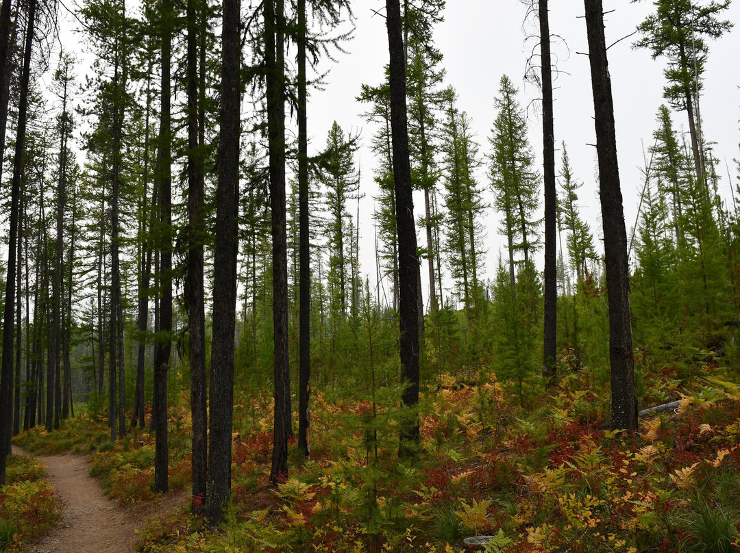 Rocky Point Nature Trail-西格拉西尔必去景点