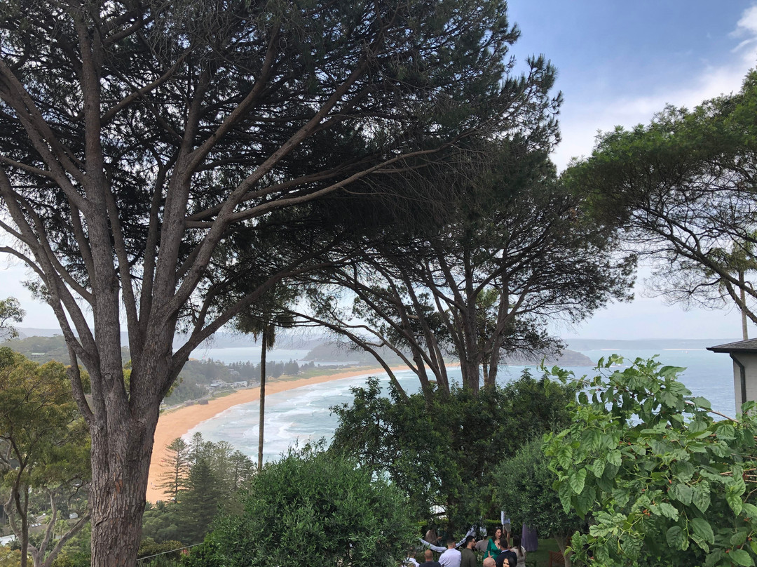 Palm Beach Bed & Breakfast主图