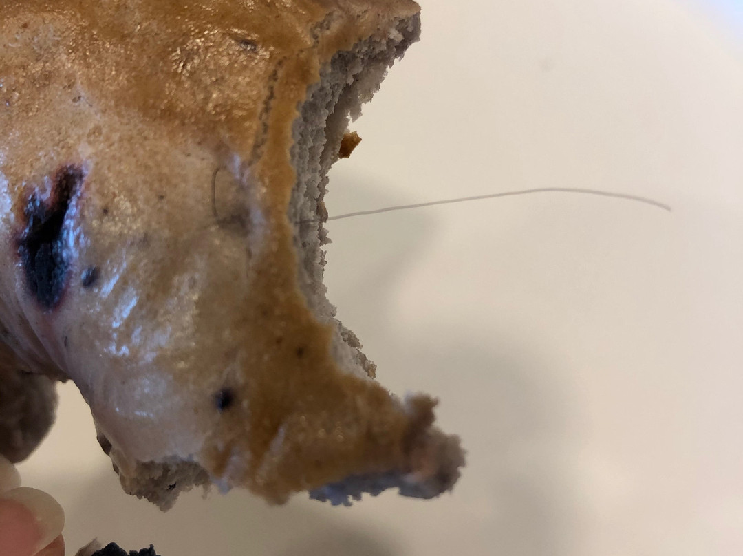 Best Western Plus Lincoln Inn & Suites主图