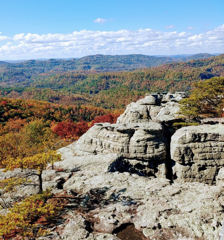 Duff旅游攻略图片