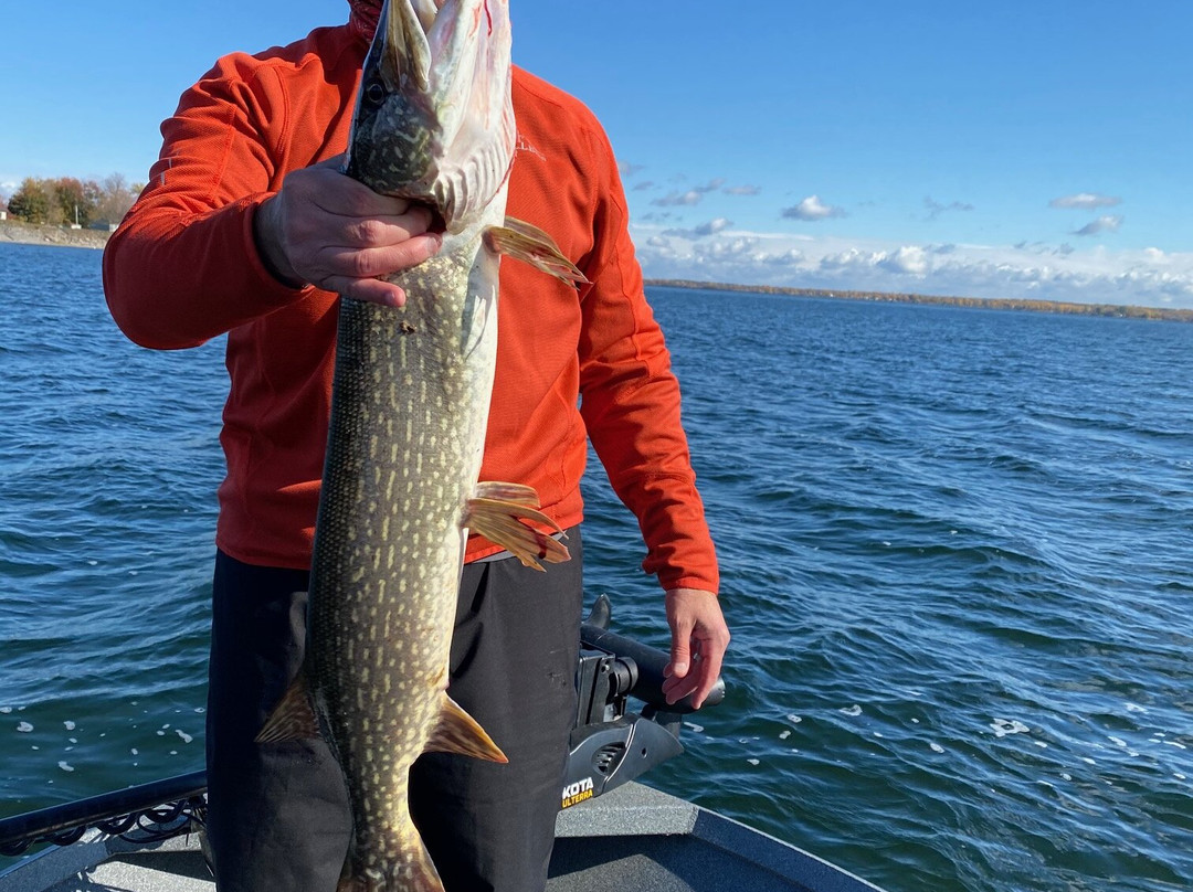 Adirondack Champlain Guide Service-Willsboro必去景点