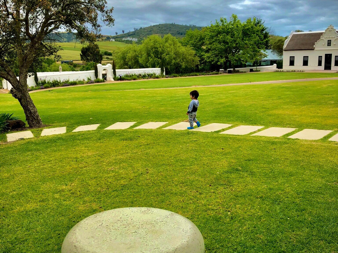 Hazendal Wine Estate-斯泰伦博斯必去景点