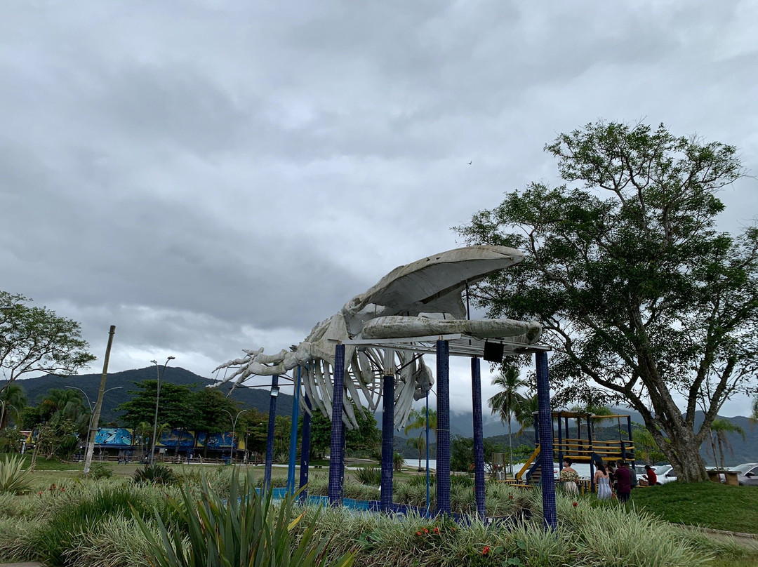 Praca da Baleia-乌巴图巴必去景点