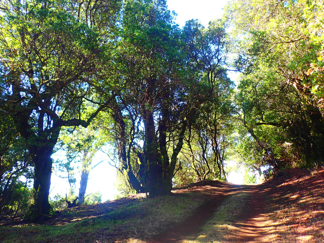 Rruta De La Llania-Valverde必去景点