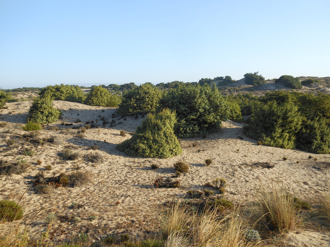 Parque Nacional de Doñana-阿尔蒙特必去景点