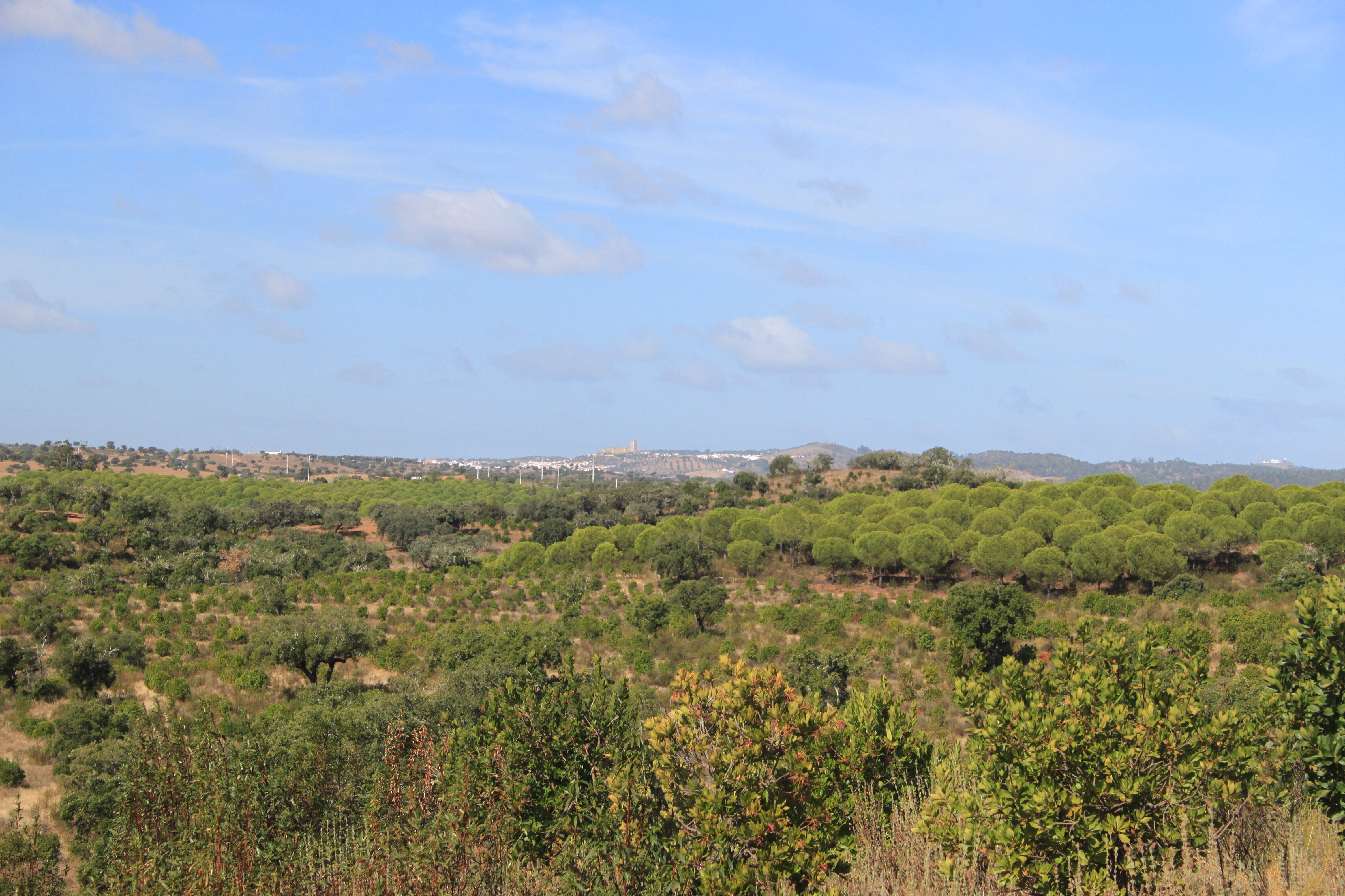 Herdade Do Rio Torto-浴室