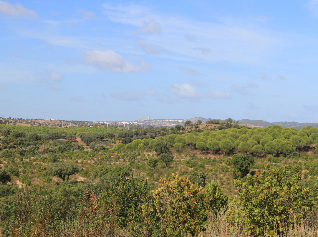 Herdade Do Rio Torto主图
