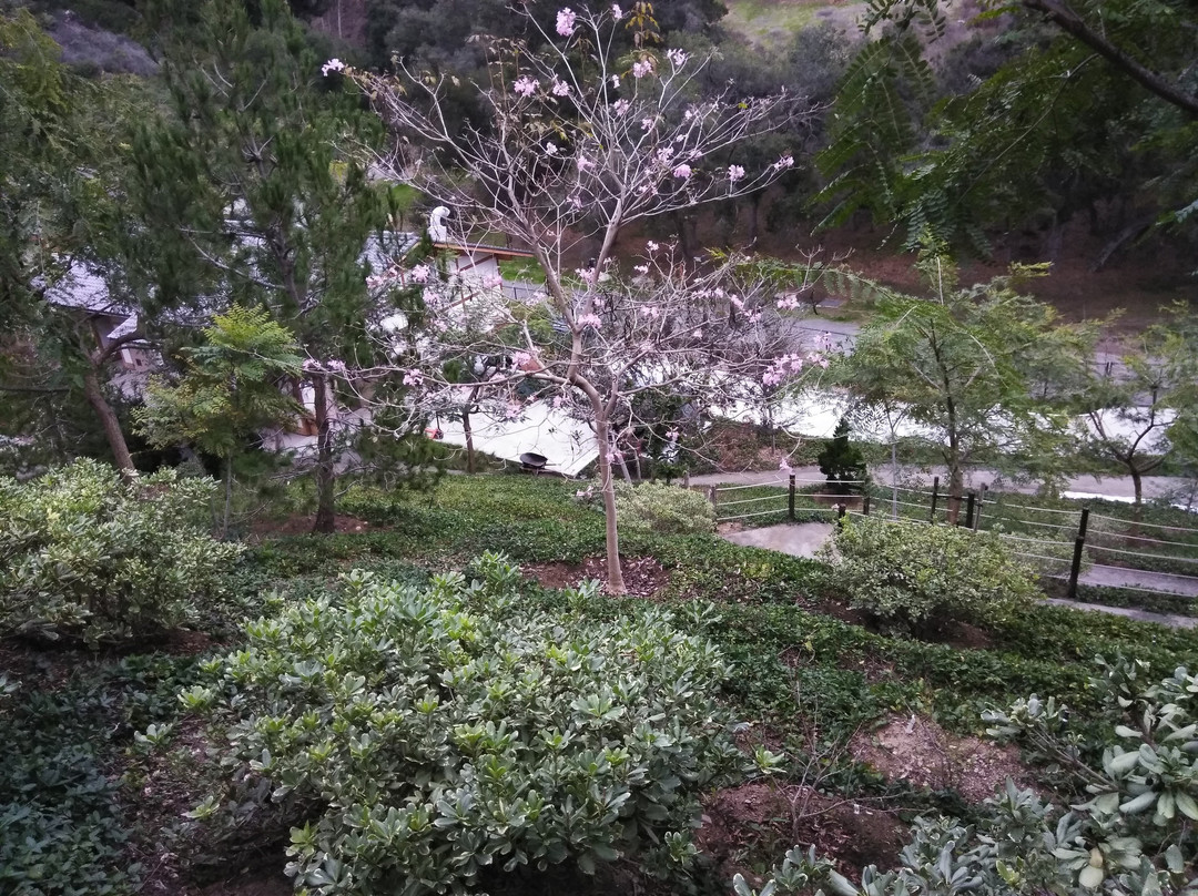 日本友谊花园景点图片