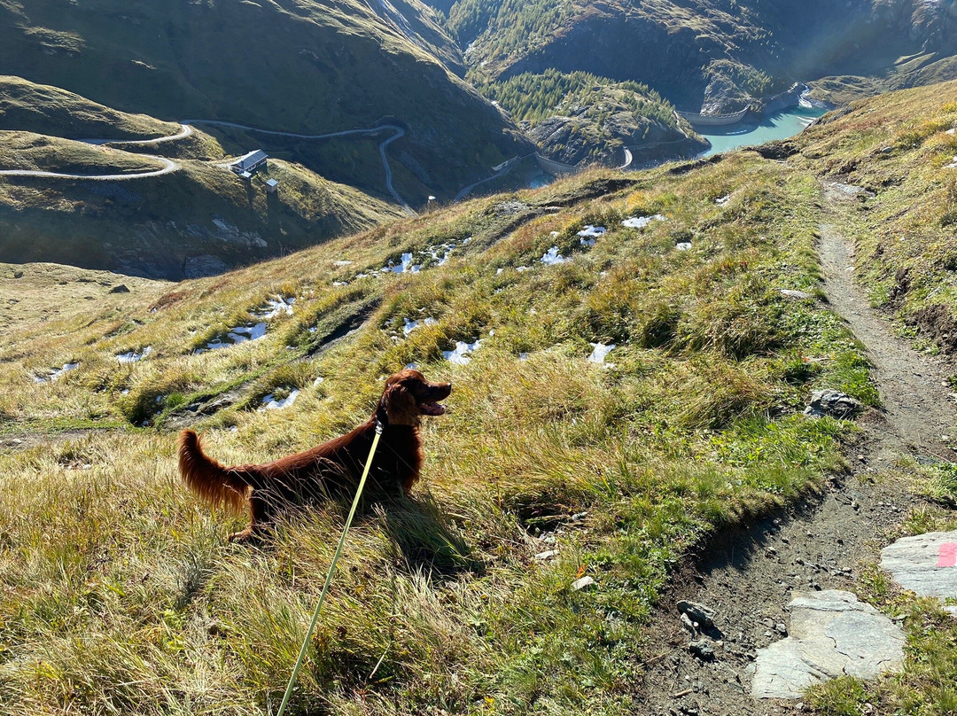 Großglockner National Park景点图片