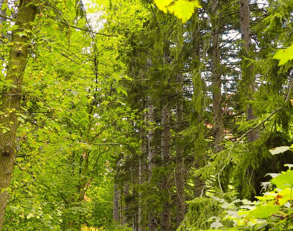 The Riverwood Conservancy-米西索加必去景点