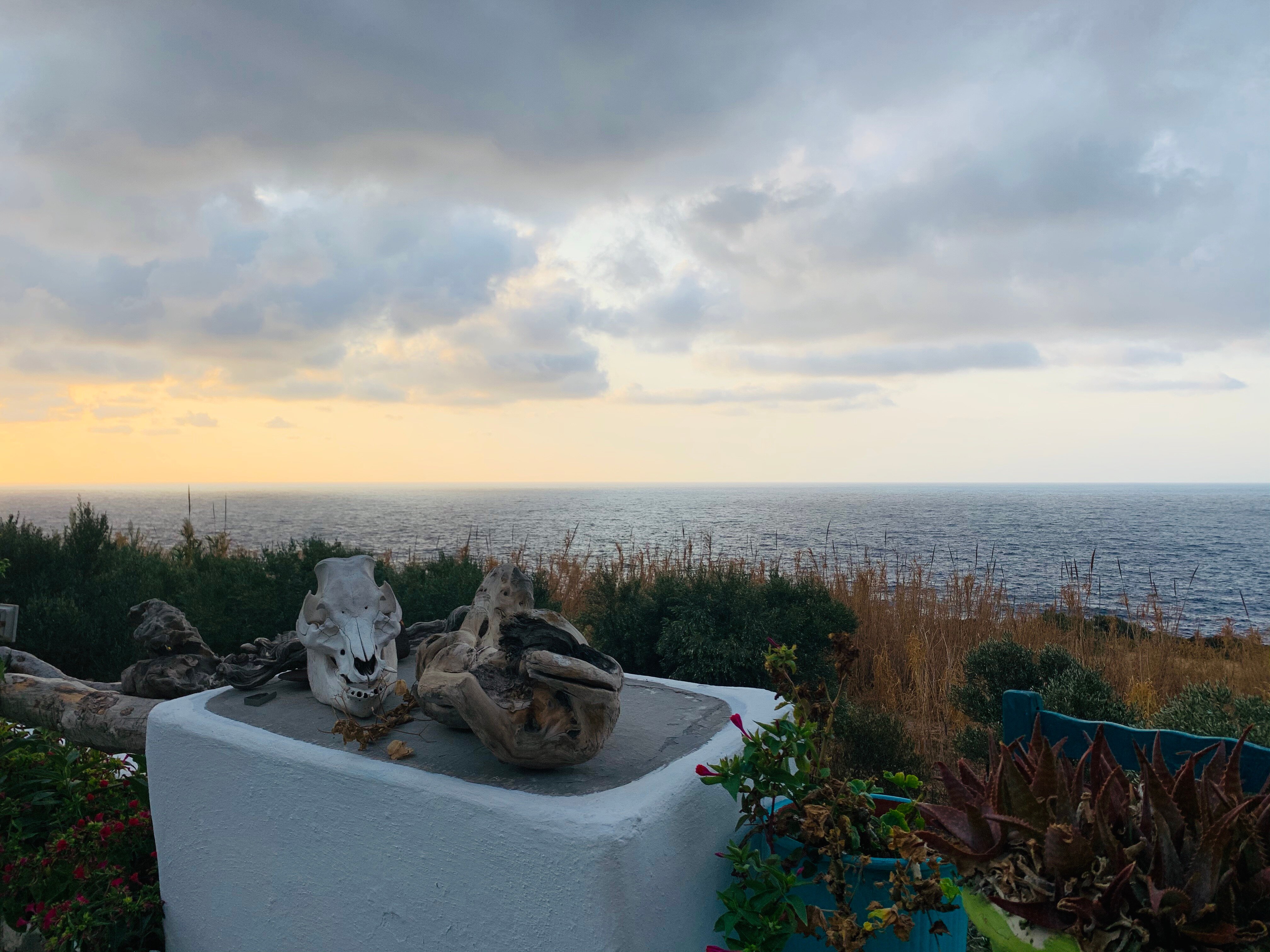 Thea's Inn of Ikaria-餐饮