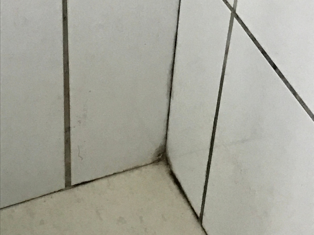 Piloes Palace Hotel主图