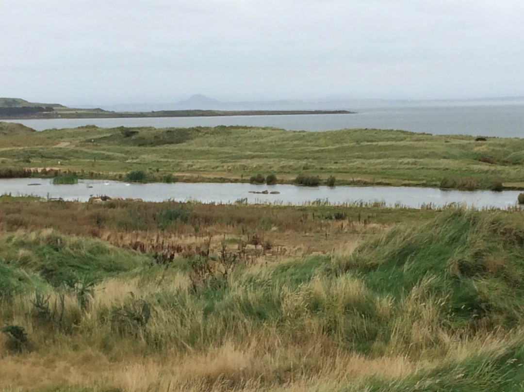 Dumbarnie Links景点图片